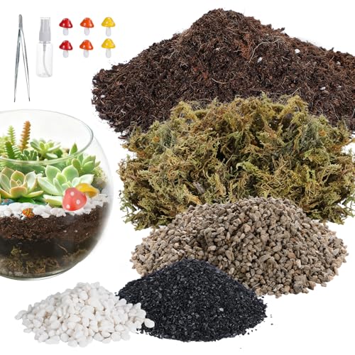 Terrarium Kit Adults - Includes Pumice, Moss, Soil,...