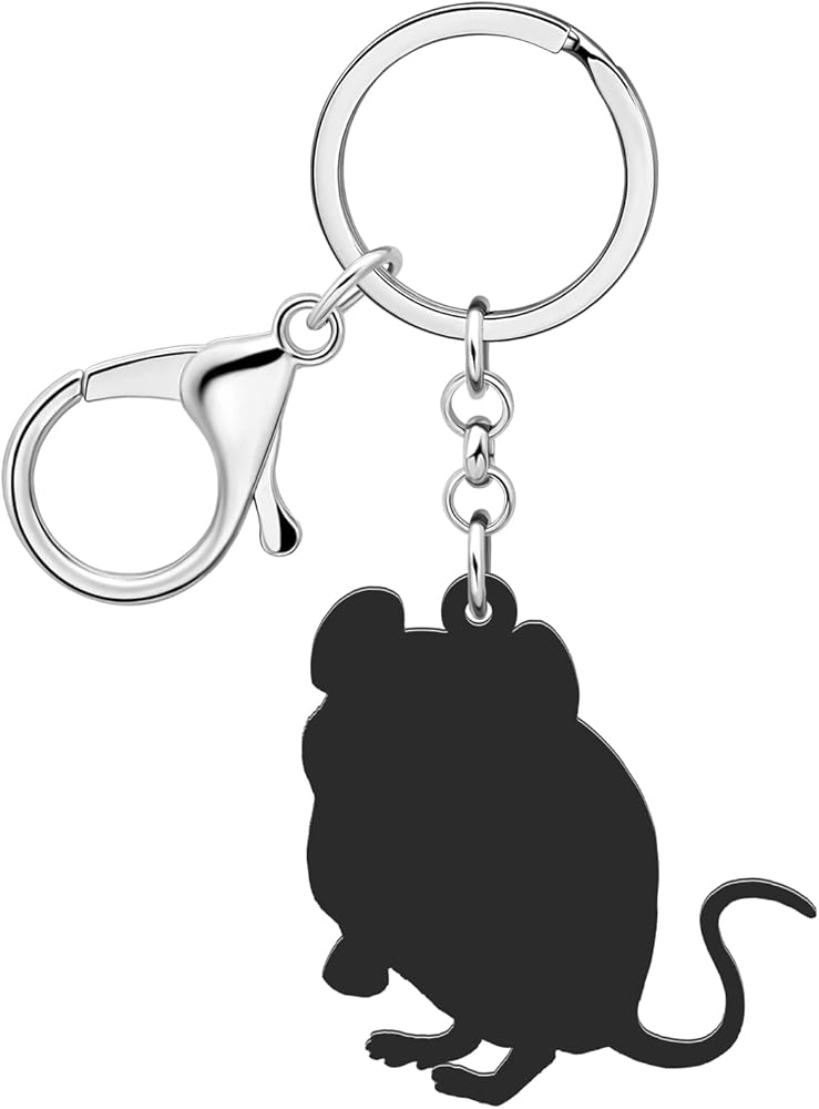 LONYOO Acrylic Cute Mouse Keychain Car Key Wallet Jewelry Keyring