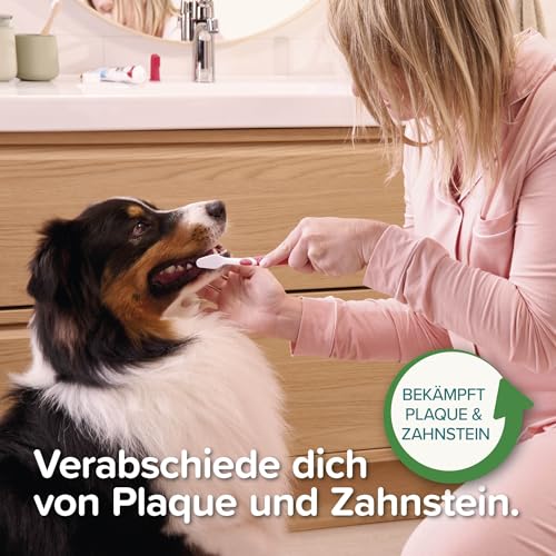 Beaphar Zahnpasta Pfefferminz & Petersilie, 100g