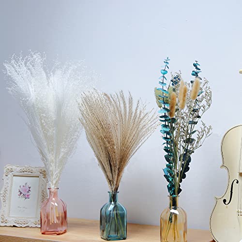 Hhfutime Dried Pampas Grass Natural Dried Flowers, Pampas Grass Decor Vase Filler, Perfect For Boho Decor Home Decor, Farmhouse Decor And Wedding Decor (Pompas Grass 17Inch) #TOP1