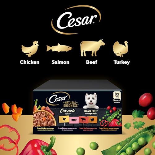 Cesar Natural Goodness Casserole Mixed Selection- Wet Dog Food - for Adult Dogs - in Gravy - 24 x 100 g - Image 6