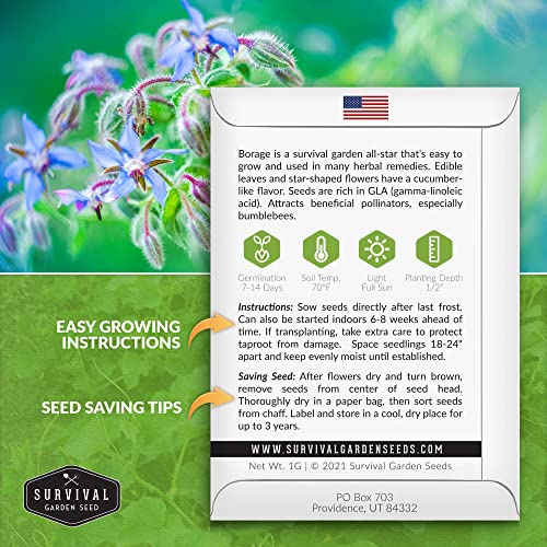 Borage Seeds for Planting - Survival Garden Seeds (2 Packs) - Image 2