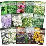 Sow Right Seeds - Medicinal Herb Seed Collection for Planting - Chamomile, Echinacea, Lavender, Mint, Valerian, Lovage, Lemon Balm, & More - Non-GMO Heirloom for Home Remedies, Teas, Tinctures