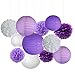 Fascola Pack of 12 Lavender Dark Purple White Paper Crafts Tissue Paper Honeycomb Balls Lanterns Paper Pom Poms Birthday Wedding Party Decoration