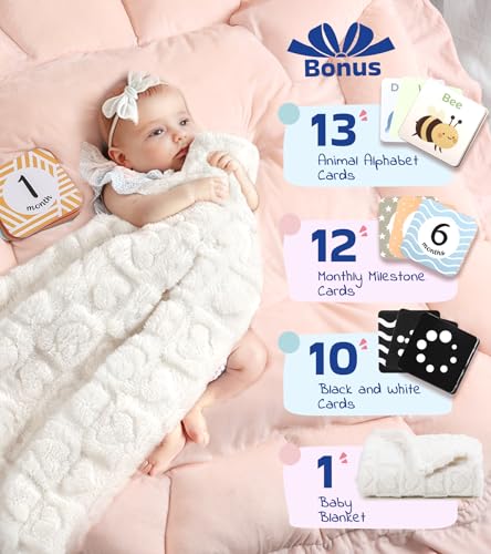image for Little Dove 5-in-1 Plush Baby Play Gym, Tummy Time Mat with Blanket an