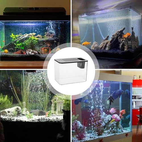 Aquarium de bureau compact pour poisson Betta et décor de table de salon - 5
