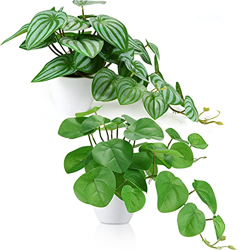 2Pcs Potted Fake Plants, Faux Plant White Pot Indoor 17''x10.6''Artificial Begonia Maculata Plant ,Plastic Potted Artificial Plant for Home Office Desk Shelf Hanging Decor,KiddosLand