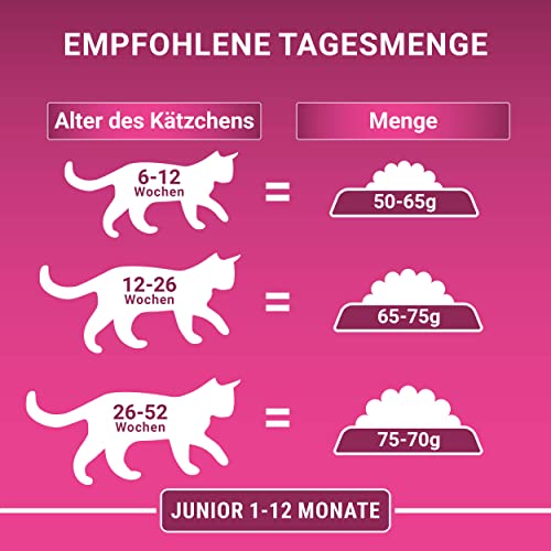 PURINA ONE BIFENSIS JUNIOR 1–12 Katzenfutter Kitten trocken, reich an Huhn, 6er Pack (6 x 750g)