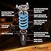 maXpeedingrods Coilover for Ford Focus ST 2013-2018, 24 Levels Damper Adjustable Coilovers Suspension Kit Strut, Height Adjustable Shock Absorber Struts, T6 Upgraded Lowering Kits Blue