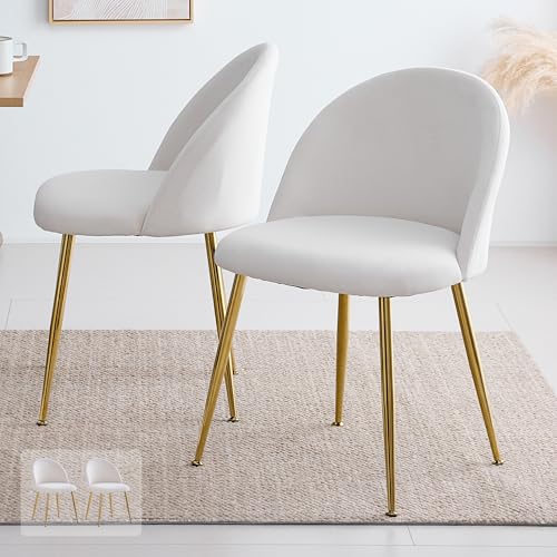 VENTOTA _CjO`FA ubNr/S[hr 1r 2rZbg 4rZbg fXN`FA CX H֎q wK֎q X`[ Vv  k pocar (S[hr^Cv|AC{[, 2rZbg)