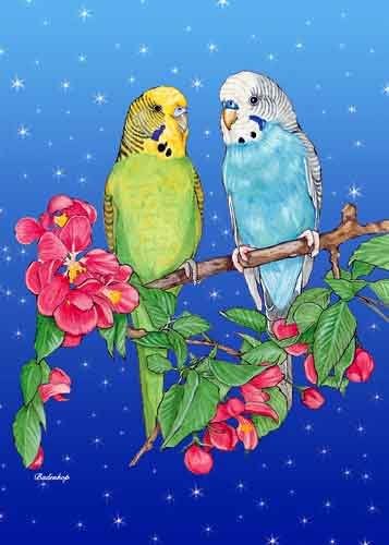 Pipsqueak Parakeet Christmas Cards : 10 Holiday Cards with Red Envelopes - ADORABLE!