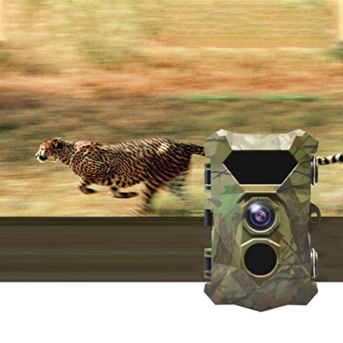 BESPORTBLE Câmera de rastreamento de caça à prova d'água, sensores infravermelhos, câmera de trilha