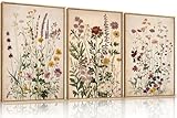 Ausril Vintage Wildflower Watercolor Framed Canvas Wall Art Set, Retro Flower Botanical Wall Decor, Colorful Floral Wall Painting, Flower Illustration Art Prints for Living Room, Bedroom 16