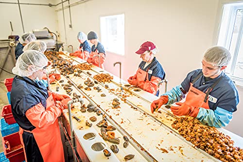 Rosalyn Premium Deep Sea Atlantic Canada Wild Caught Sea Cucumber Dried (大西洋野生捕捞海参干) - Canadian Food Inspection Agency Certified | Whole Cut-454 Grams (Pack Of 1) #TOP4