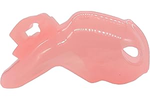 Premium Chastity Cage Designed Exclusively for FUJENNICC's HT-V4 Device