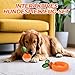 LIFLIX 2er-Set Zahnpflege-Spielzeug für Welpen, Langlebige TPU Biss und Bürste Hundespielzeug für Kleine & Mittlere Hunde, Dental Kauspielzeug für Zahnende Welpen