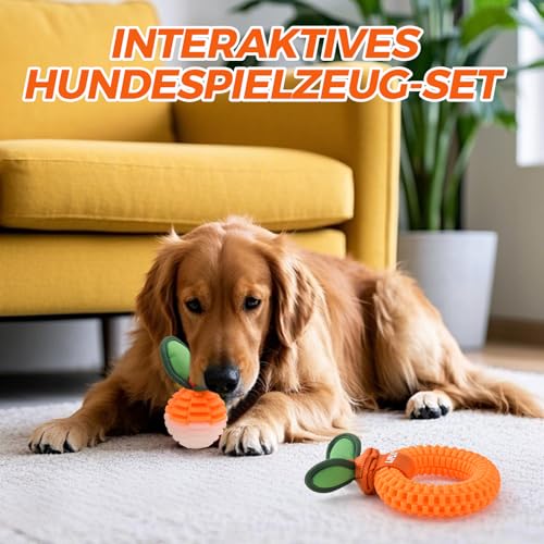 LIFLIX 2er-Set Zahnpflege-Spielzeug für Welpen, Langlebige TPU Biss und Bürste Hundespielzeug für Kleine & Mittlere Hunde, Dental Kauspielzeug für Zahnende Welpen