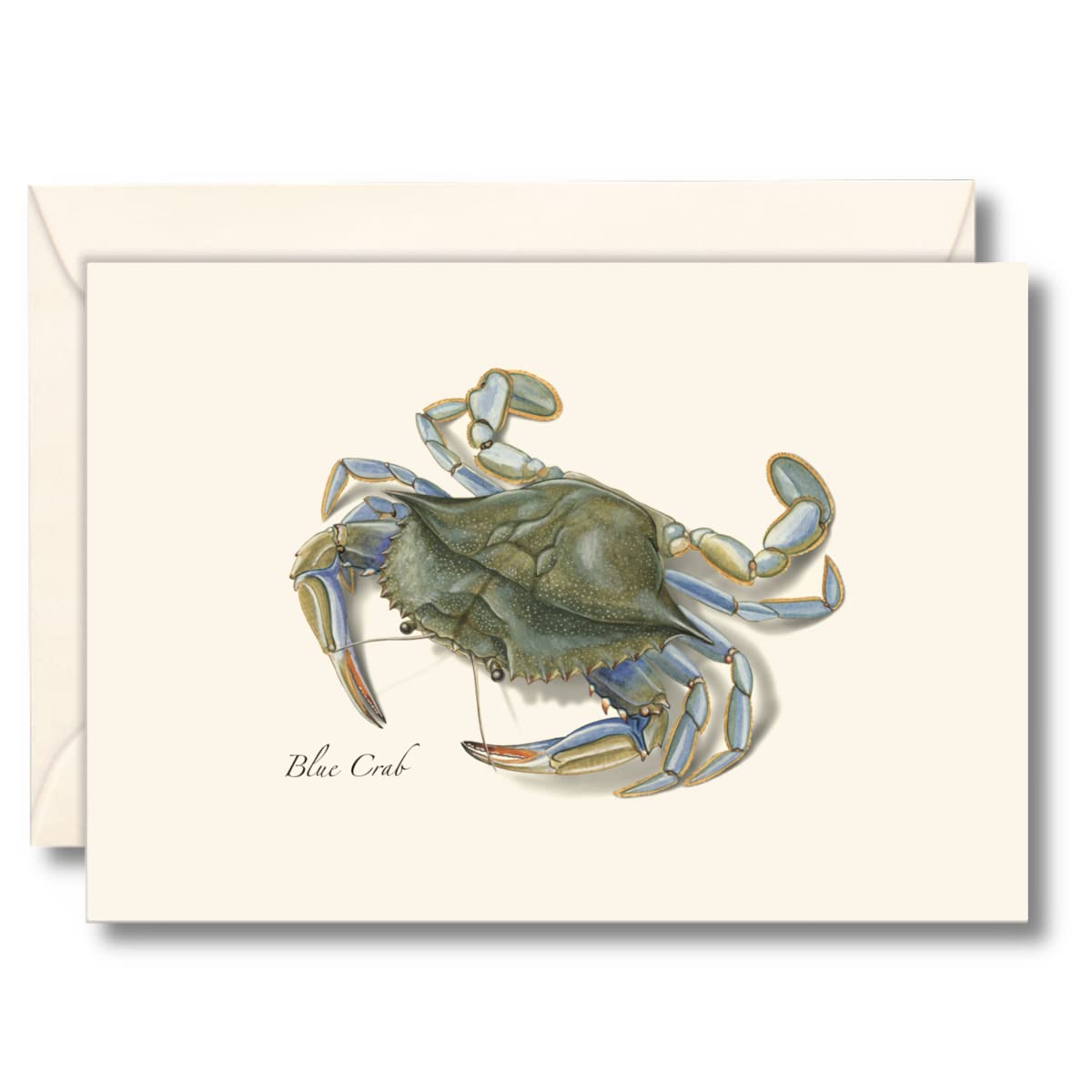 Earth Sky + Water - Blue Crab Notecard Set - 8 Blank Cards with Envelopes