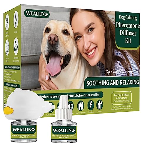 Find The Best Calming Diffuser For Dogs Reviews & Comparison - Katynel