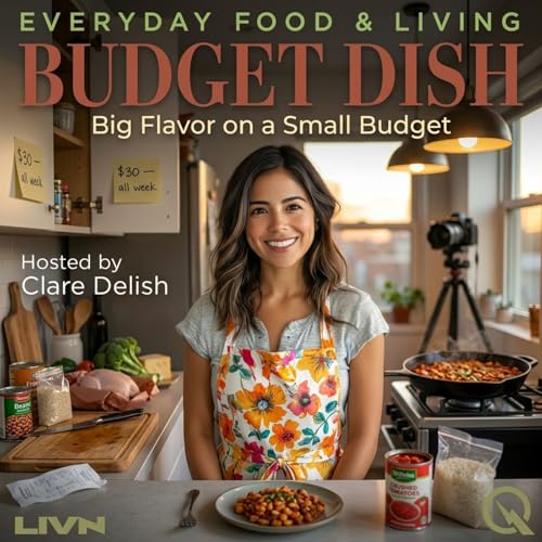 Budget Dish cover art