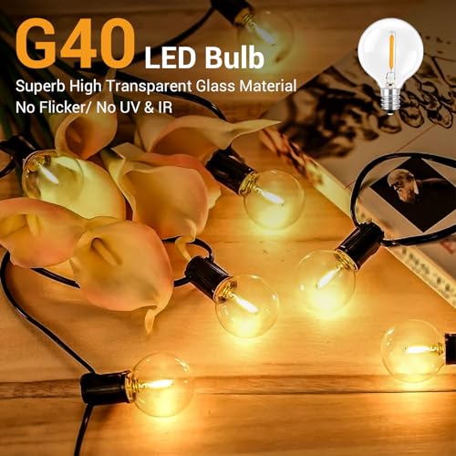 SCNNC 1W E12 G40 LED Bulbs Outdoor 220V, IP54 Waterproof Warm White 2700K LED Filament Globe G40 Replacement Bulbs for Outdoor Garden String Lights Party Festoon Light, Pack of 6 - Image 5