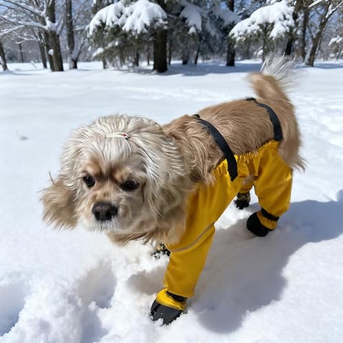 Hundeschuhe, wasserdichte Pfotenschuhe mit Anti-Rutsch Sohle, Verstellbare Hundestiefel für Klein- und Mittelhunde, Gamaschenschutz gegen Schmutz und Nässe (Yellow, XS(1-2.5kg))