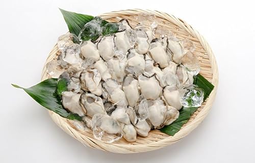 Yn LY ނg 1kg N[ {ߊCŊlꂽ嗱 JL y  ()A~XC