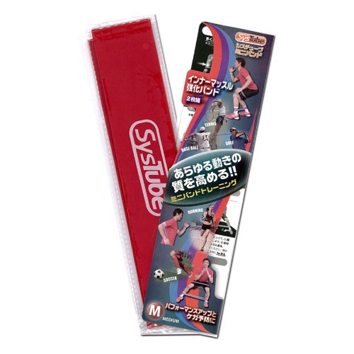 【美品】Sand Stepper インナーマッスル強化用 Sand ダイエット・健康 【美品】Sand Stepper インナーマッスル