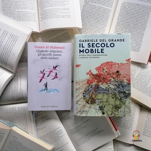 4. Migrazioni | Il Secolo Mobile di Gabriele Del Grande e Quando Migrano, gli Uccelli Sanno Dove Andare di Usama Al Shahmani