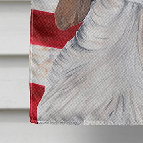 Drapeau Welsh Springer Spaniel USA grand format en toile Caroline's Treasures SC9024CHF