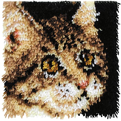 Image of Wonderart Latch Hook Yarn, Tabby