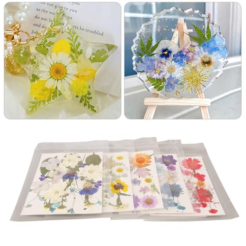 Kit de Flores Prensadas Estilos Variados para Manualidades miniatura 2