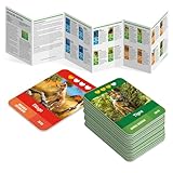 Zoom IMG-2 ludic missione natura new il Zoom IMG-2 ludic missione natura new il