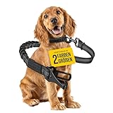 ZAUBERPFOTE Hundegurt 'Argo‘ fürs Auto – Verstellbarer Sicherheitsgurt mit Rückdämpfung & ISOFIX Anschluss – Anschnallgurt für alle Hunderassen (Schwarz, Gr. L)
