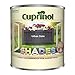 Cuprinol external wood paint