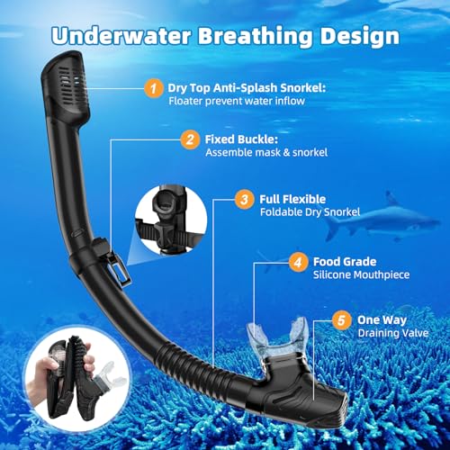 Snorkel Set Adults Snorkeling Gear Anti-Leak and Anti-Fog Tempered Glass Lens Panoramic View Swim Mask Dry Top Snorkel Kit for Snorkeling Scuba Diving Swimming Travel with Carry Bag - Thumbnail 5