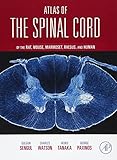 Atlas of the Spinal Cord: Mouse, Rat, Rhesus, Marmoset, and Human