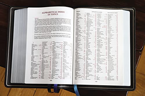Niv, Thompson Chain-Reference Bible, Premium Goatskin Leather, Black, Premier Collection, Black Lett