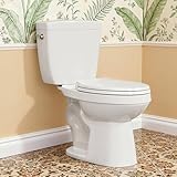 ABath 17.5' Tall Toilet Elongated with Soft Close Seat & 360° TSUNAMI Flush 1 GPF, WaterSense/1000g Map Certified, NANO CLEAN Ceramic, Two Piece Compact Toilets for Small Bathrooms, 12' Rough in