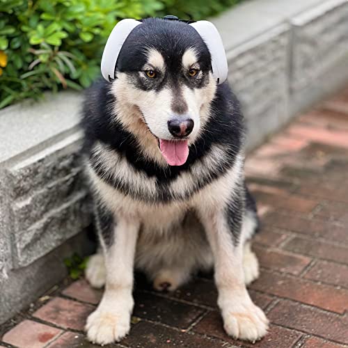 derYEP Hunde-Ohrenschützer für Gehörschutz, 29 dB NRR, Ohrenschützer, Lärmschutz (XLarge, blau)