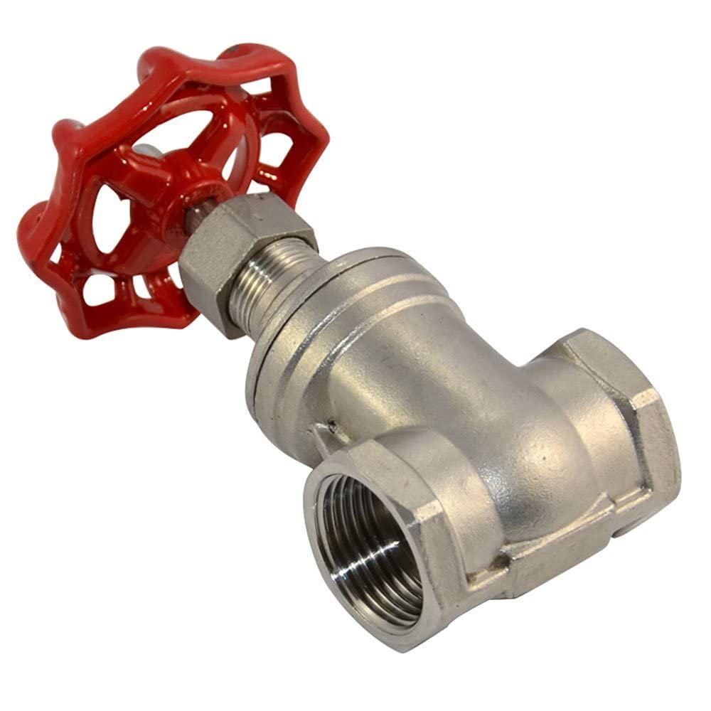 Soupape à vanne anti-corrosion NPT acier inoxydable 316 CF8M résistant