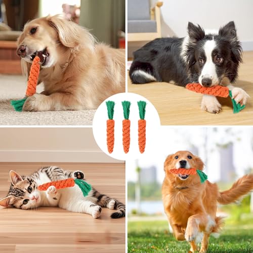 Parastar 3 Stück Hundespielzeug Karotte,Hundespielzeug für Kleine Hunde Welpenspielzeug Set,Puppy Karotte Seil Spielzeug Geflochtene,Kauspielzeug Welpe für Kleine Mittelgroße Welpen