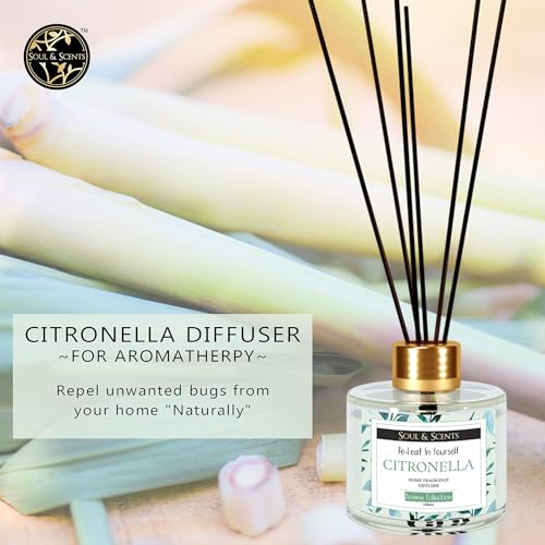 Image of Soul & Scents Citronella Reed Diffuser Set - 120ml with Free 6 Fiber Reed Sticks Each | Toxin Free & Stress Relief | Long Lasting | Smoke Less Room Freshener for Home, Bedroom & Office | Pack of 2