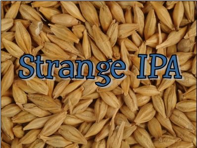 Strange Brew Advanced All Grain Home Brew Beer Ingredient Kit: IPA