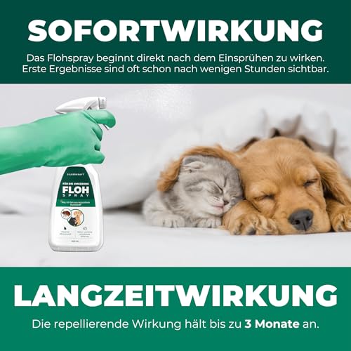 Silberkraft Flohspray für Umgebung 500ml, effektives Flohmittel gegen Flöhe, Zecken- und Milben, Flohspray für Wohnung und Möbel, ideal für Textilien, Hundebetten, Teppiche & Polster