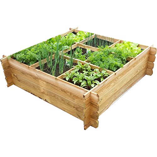 carré potager avec croisillons et...