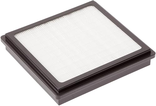 Filtro HEPA Aspiradoras Nilfisk Extreme - Recambio Original (147 0180 500)