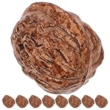 HOODANCOS 20 Stück Künstliche Walnüsse Deko Ornamente Realistische Nussmodelle für Wohndekoration und Fotografie Requisiten Vielseitig für Zuhause Büro und Gastronomie