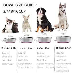 5mm thick stainless steel dog bowls non slip with silicone base cat dishes 4 cups food grade bpa free less sliding premium water and food pat bowls for cat and dog easy to clean 2 pack   cucciolini doodles