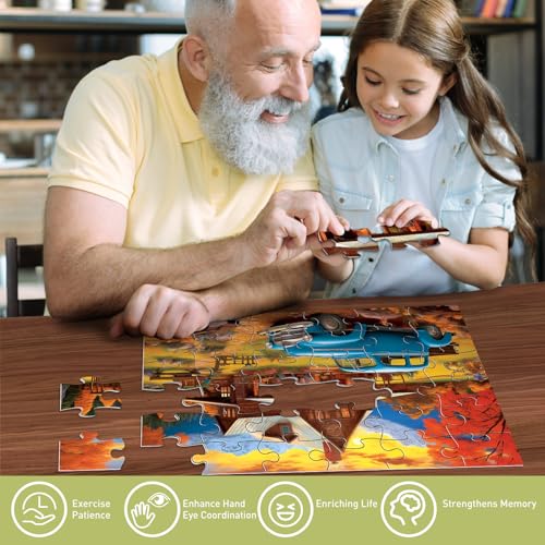 Biarek 6 Pack 36 Large Piece Puzzles for Seniors Puzzle Dementia Alzheimer's Products Activities for Elderly Adults Easy Jigsaw Puzzle Alzheimer's Gift for Patients in Nursing Home with 6 Storage Bags - Image 6